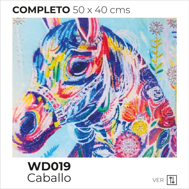 Kit Dibujo Diamante Wd019 Caballo