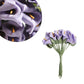 Flor Foamy Cartucho