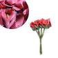 Flor Foamy Cartucho