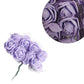 Flor Foamy