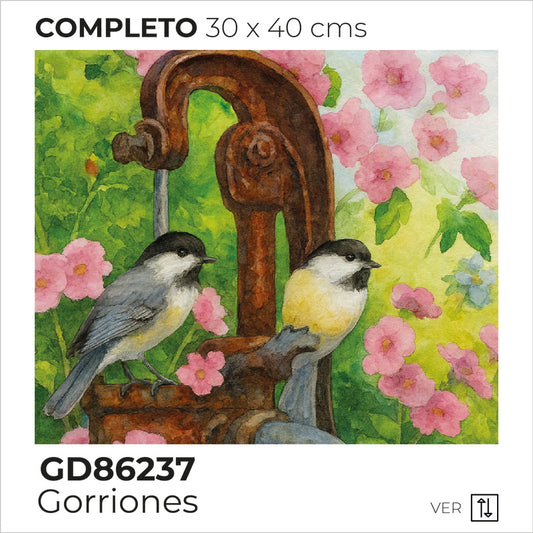 Kit Dibujo Diamante GD86237 Gorriones