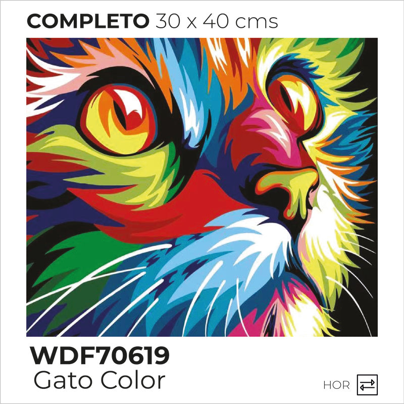 Kit Dibujo Diamante WDF70619 Gato Colores