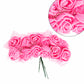 Flor Foamy