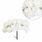 Flor Foamy