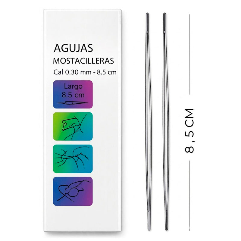 Aguja Mostacillera