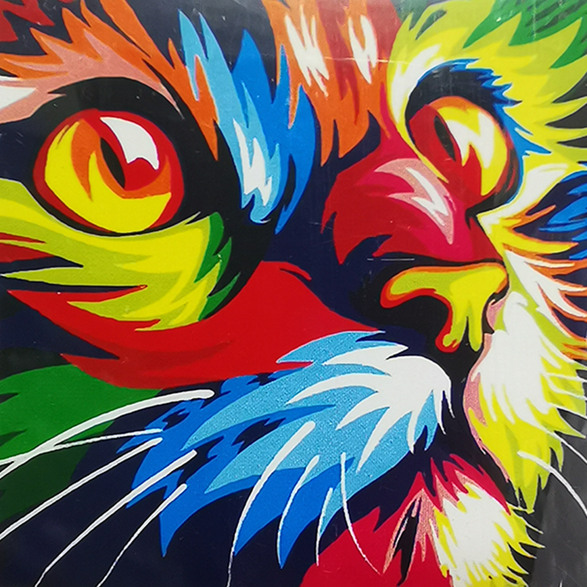 Kit Punto Diamante Gato