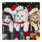 Kit Punto Diamante Gatitos Navidad